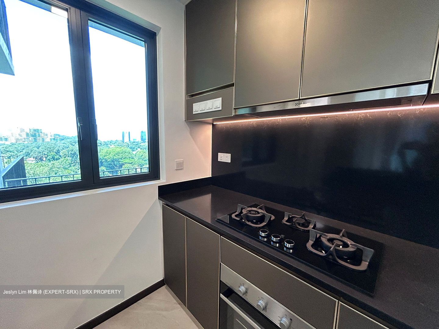 Normanton Park (D5), Apartment #551650241